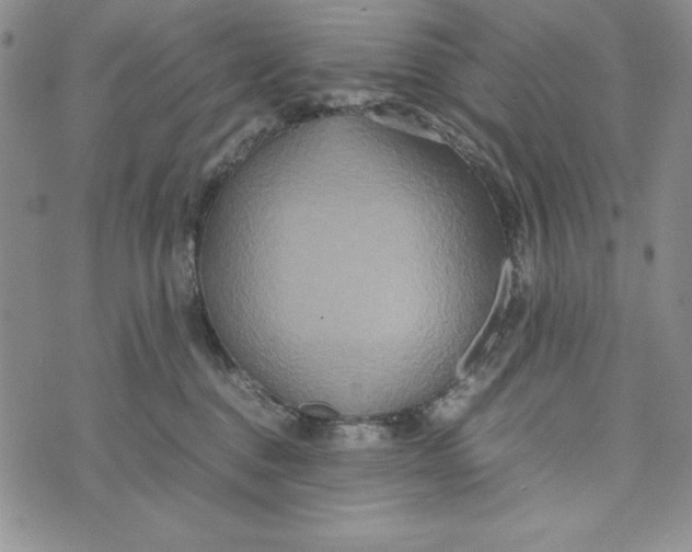 X0000072520376200608041538