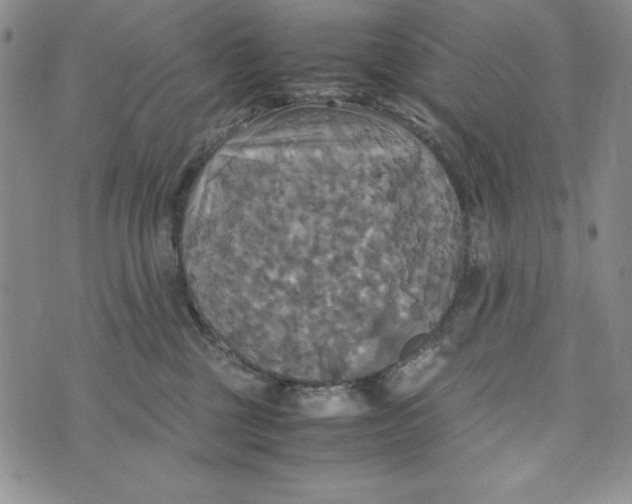 X0000072520377200608041538