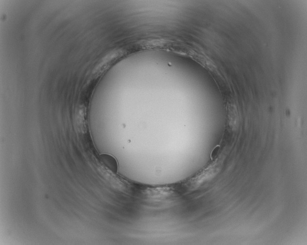 X0000072520378200608041538