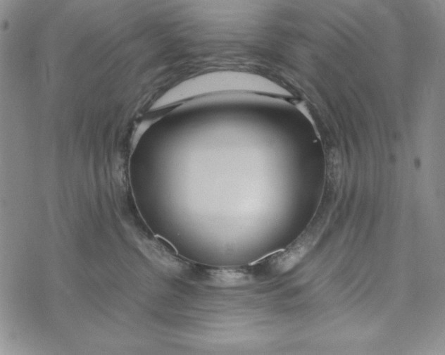 X0000072520380200608041538