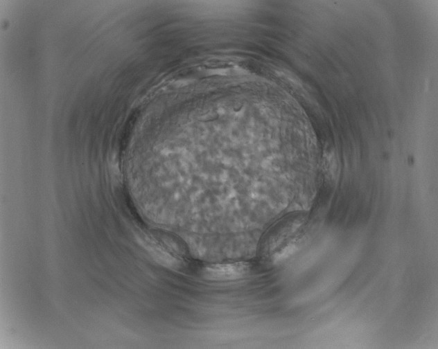 X0000072520381200608041538