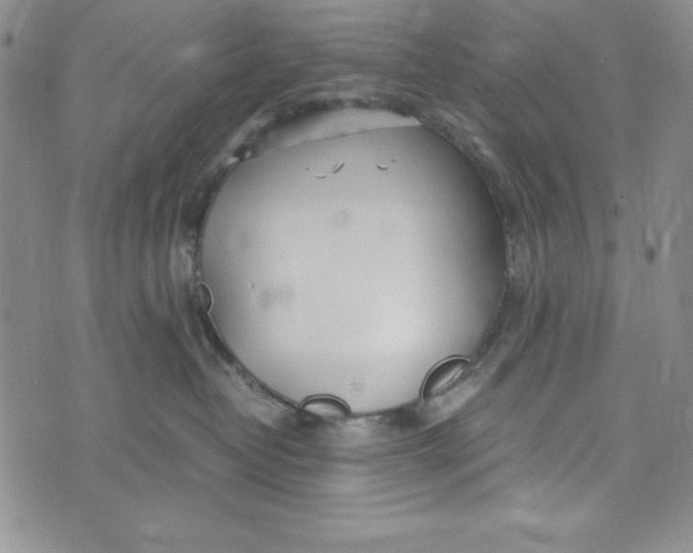 X0000072520382200608041538