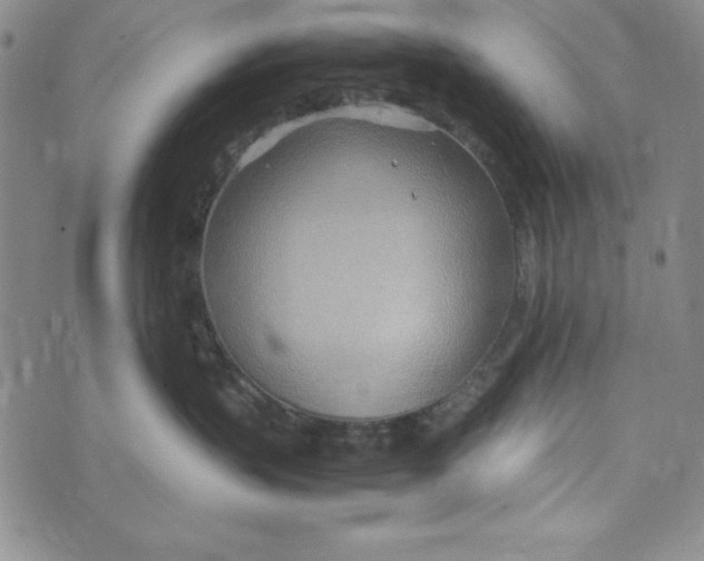 X0000072520383200608041538