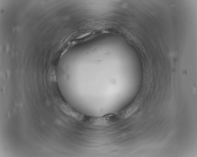 X0000072520384200608041538