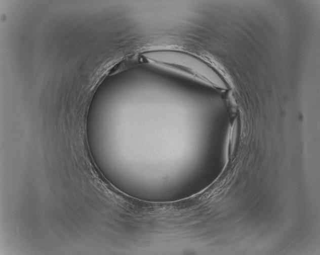 X0000072520385200608041537