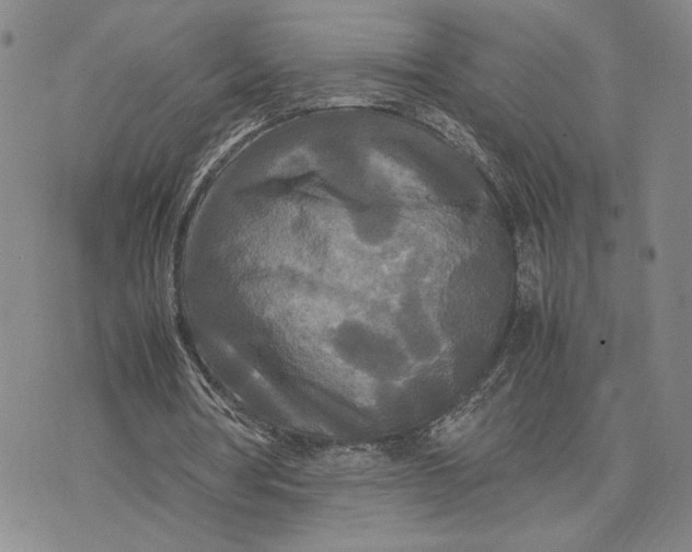 X0000072520386200608041537