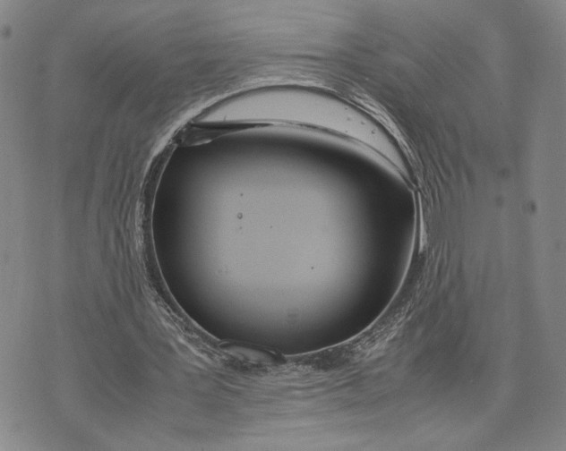 X0000072520387200608041537