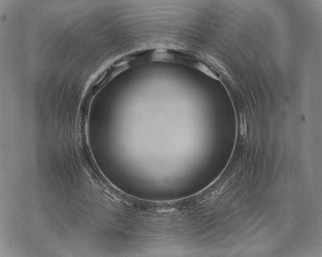 X0000072520388200608041537