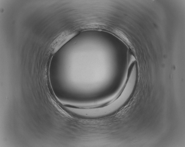 X0000072520389200608041537