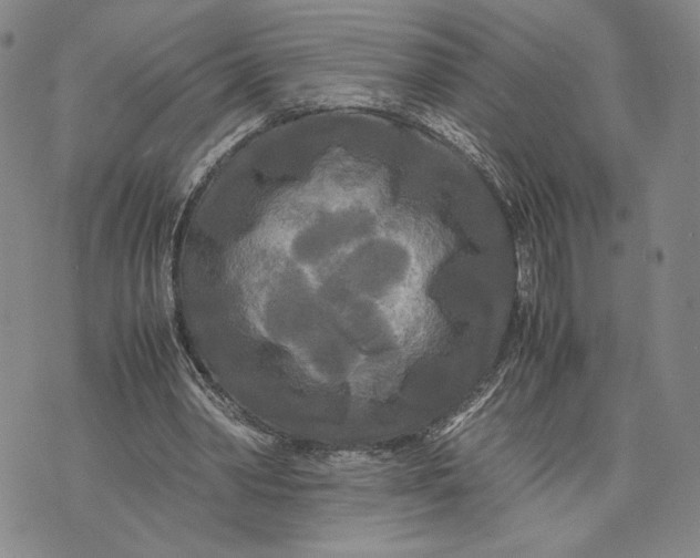 X0000072520390200608041537