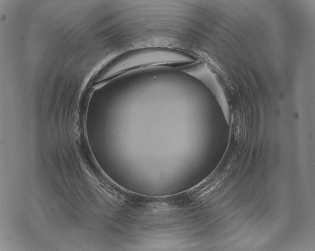 X0000072520392200608041537