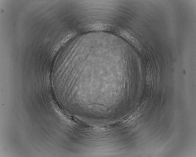 X0000072520394200608041537