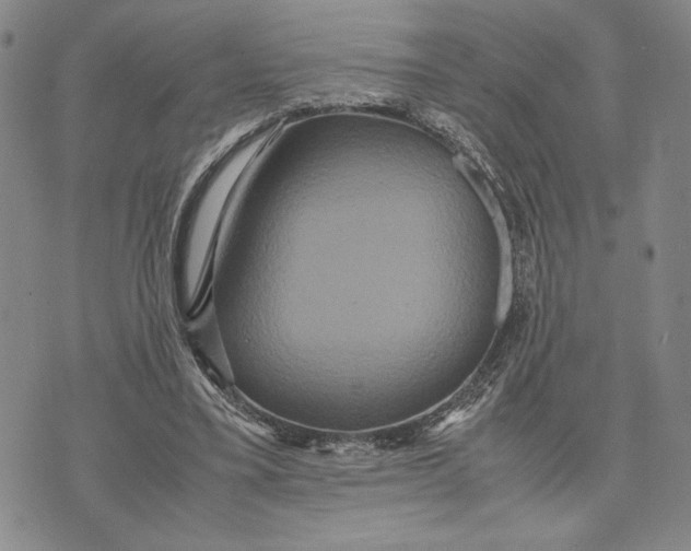 X0000072520395200608041537