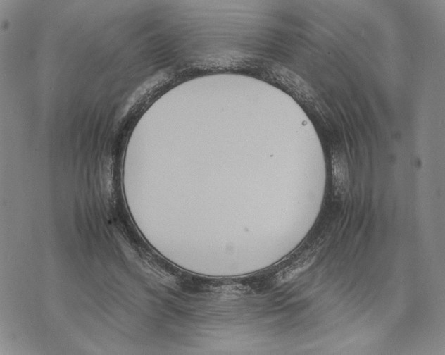 X0000072520396200608041537