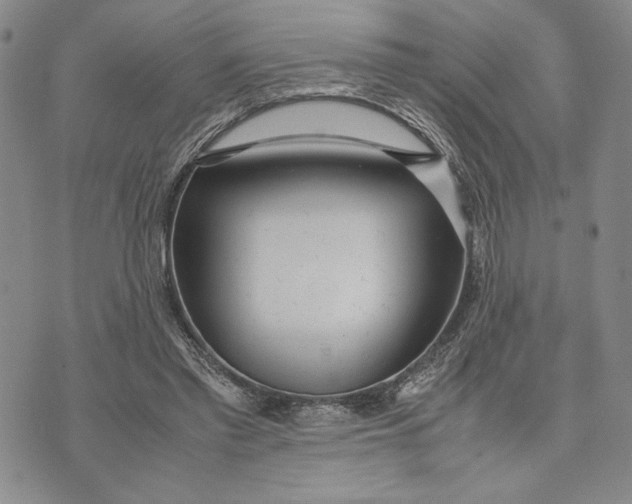 X0000072520397200608041537