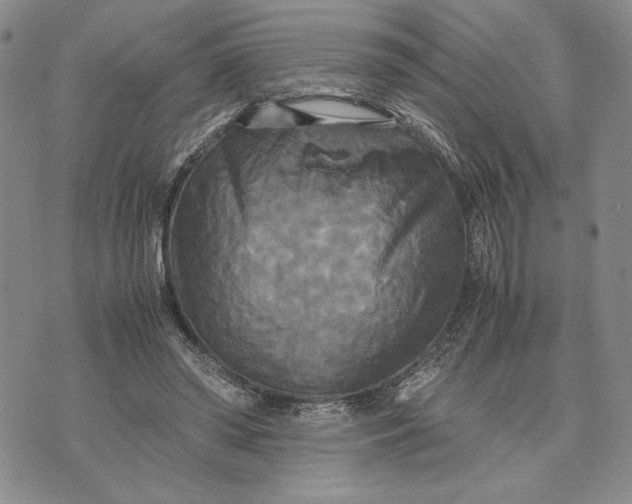 X0000072520398200608041537