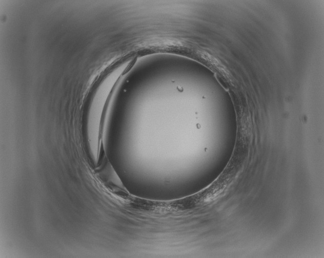 X0000072520399200608041537