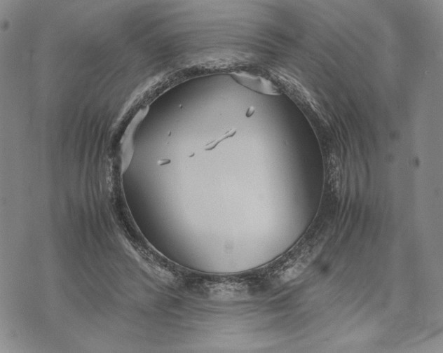 X0000072520400200608041537