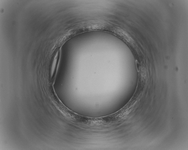 X0000072520401200608041537