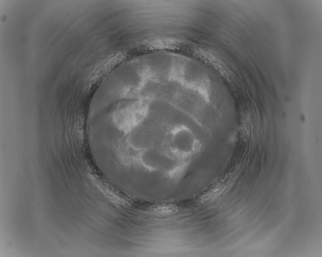 X0000072520402200608041537