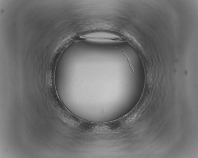 X0000072520403200608041537