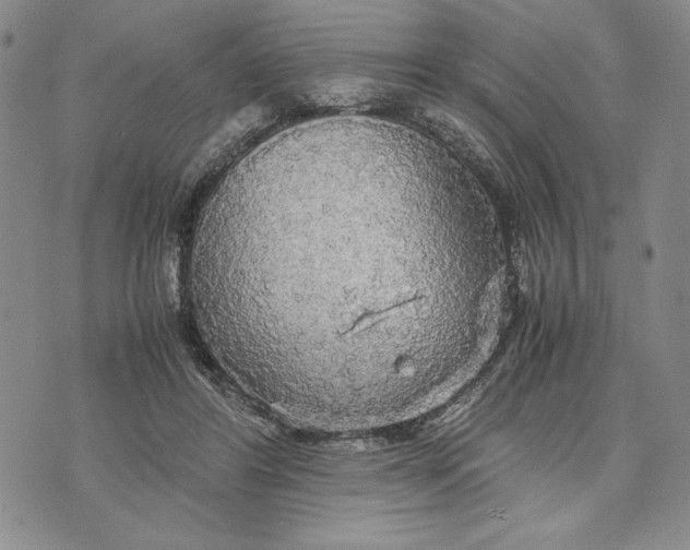 X0000072520404200608041537