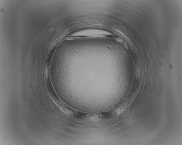 X0000072520405200608041537