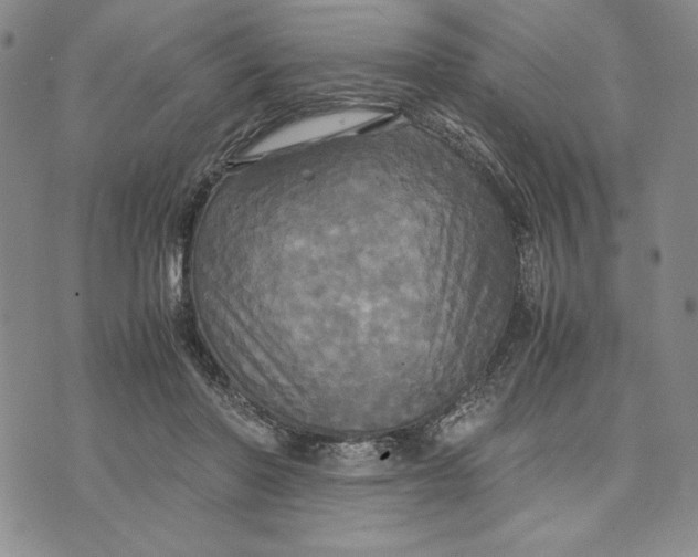 X0000072520406200608041537