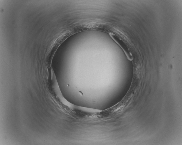 X0000072520407200608041537