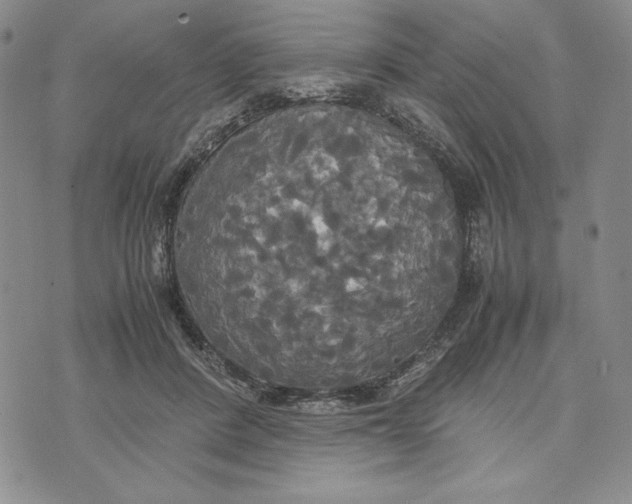 X0000072520408200608041537