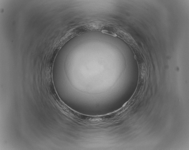 X0000072520409200608041537