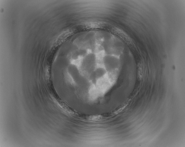 X0000072520410200608041537