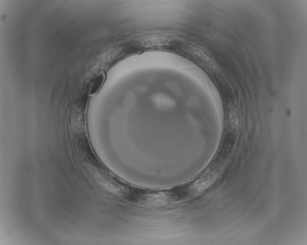 X0000072520411200608041537