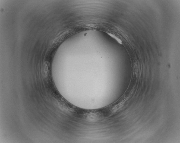 X0000072520412200608041537