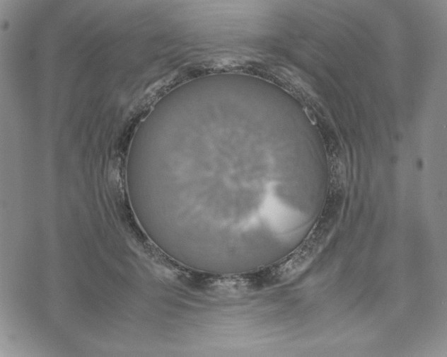 X0000072520415200608041537