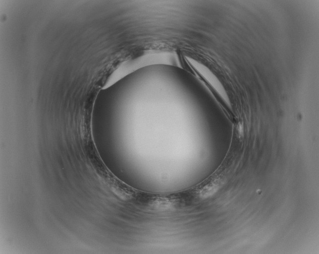 X0000072520416200608041537