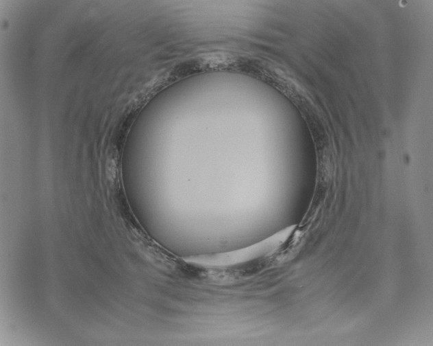 X0000072520417200608041537