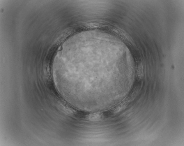 X0000072520418200608041537