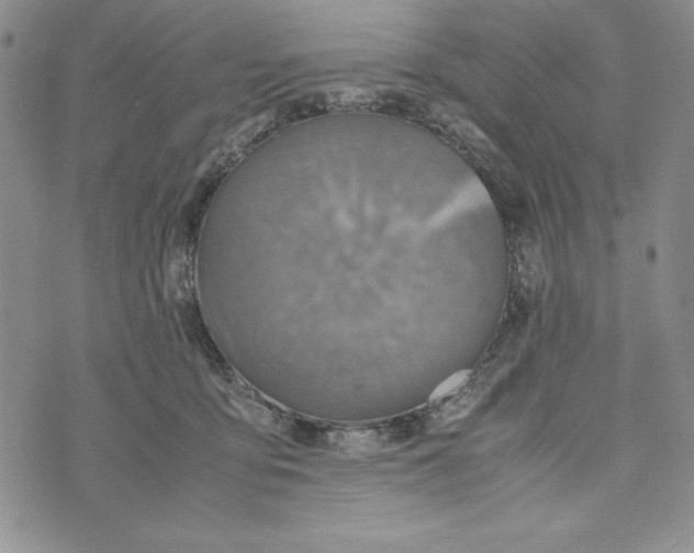 X0000072520419200608041537