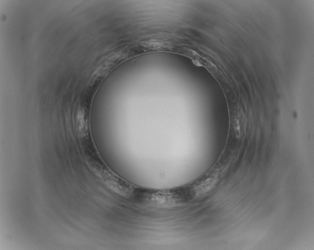 X0000072520420200608041537