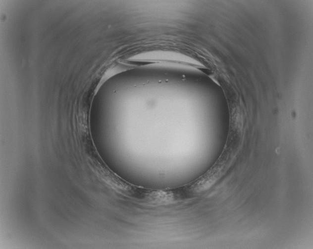 X0000072520421200608041537