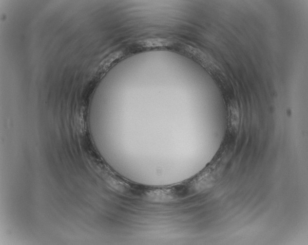 X0000072520422200608041537