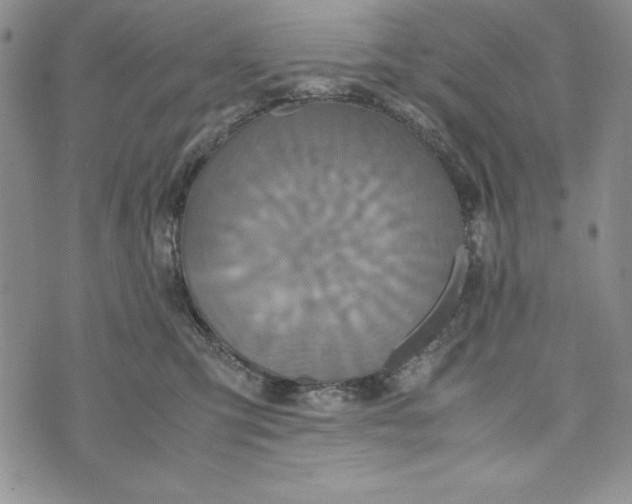 X0000072520423200608041537