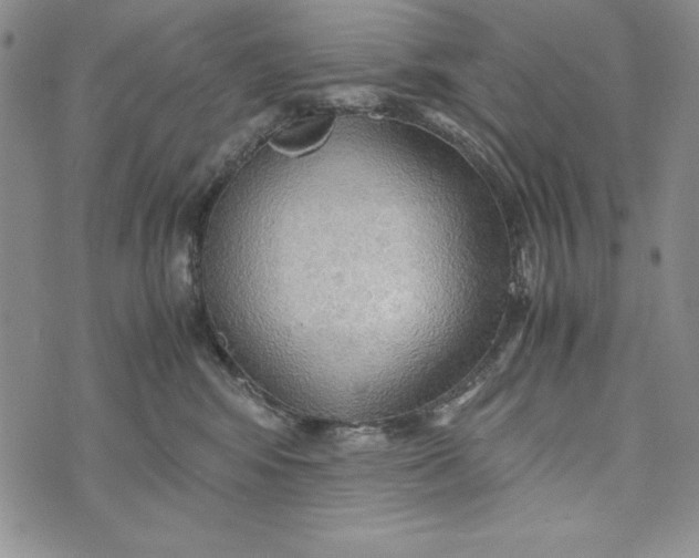 X0000072520424200608041537