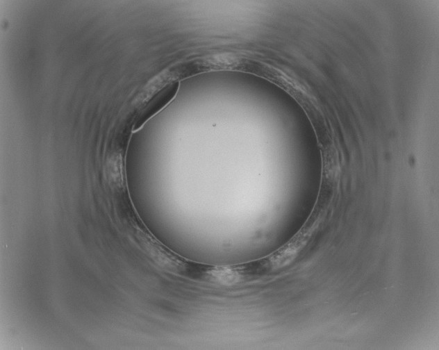 X0000072520425200608041537