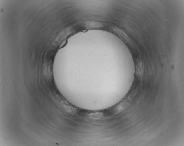 X0000072520426200608041537