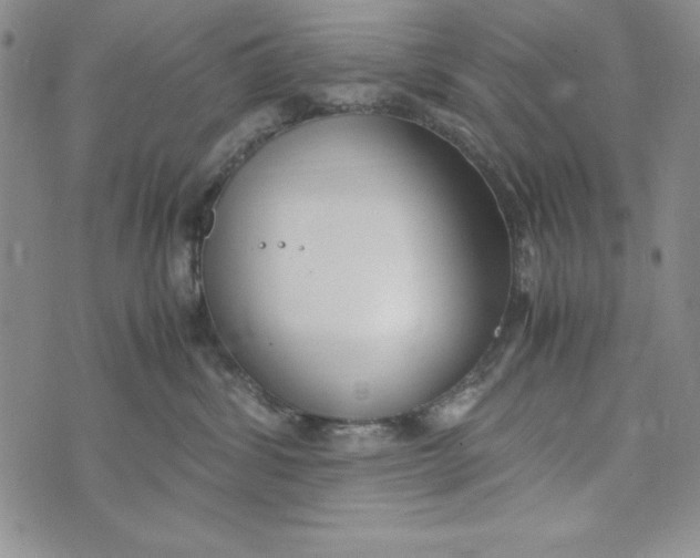 X0000072520428200608041537