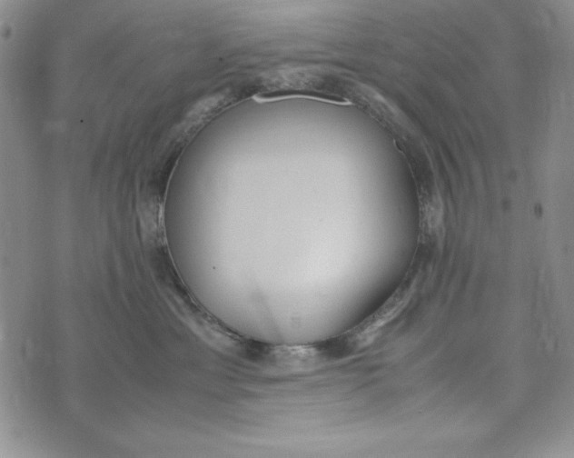 X0000072520429200608041537