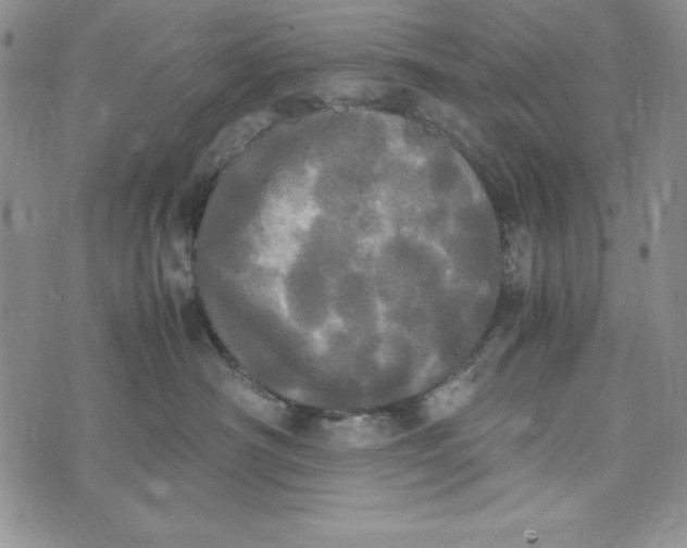 X0000072520430200608041537