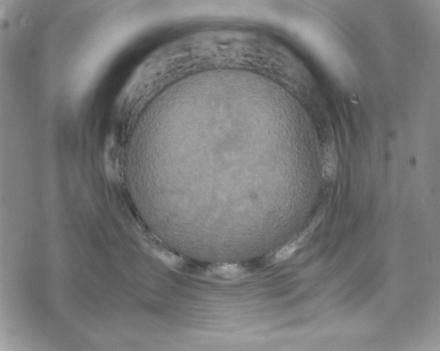 X0000072520431200608041537